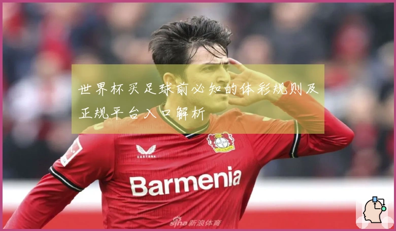 世界杯买足球前必知的体彩规则及正规平台入口解析
