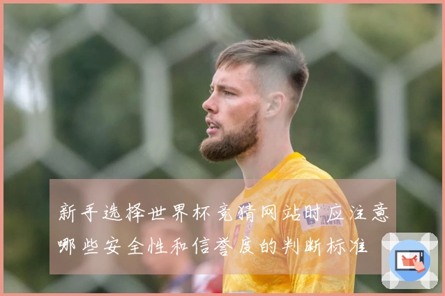 新手选择世界杯竞猜网站时应注意哪些安全性和信誉度的判断标准