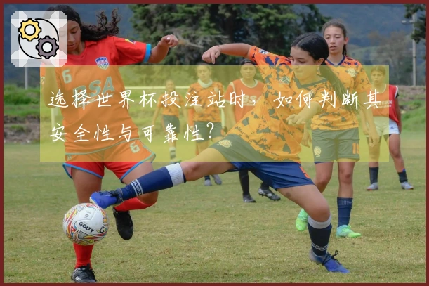 选择世界杯投注站时，如何判断其安全性与可靠性？