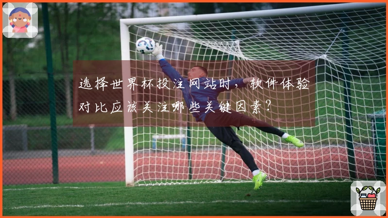 选择世界杯投注网站时，软件体验对比应该关注哪些关键因素？