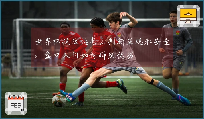 世界杯投注站怎么判断正规和安全，盘口入门如何辨别优劣