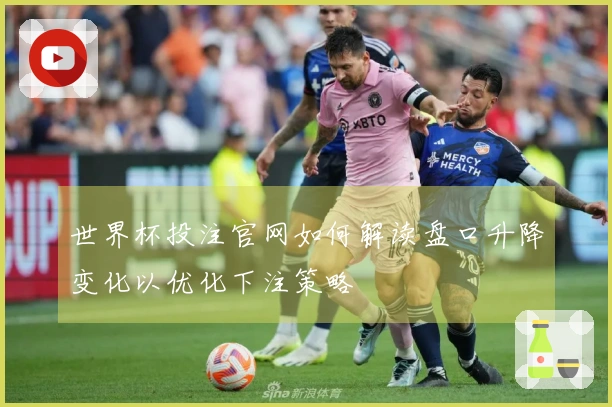 世界杯投注官网如何解读盘口升降变化以优化下注策略