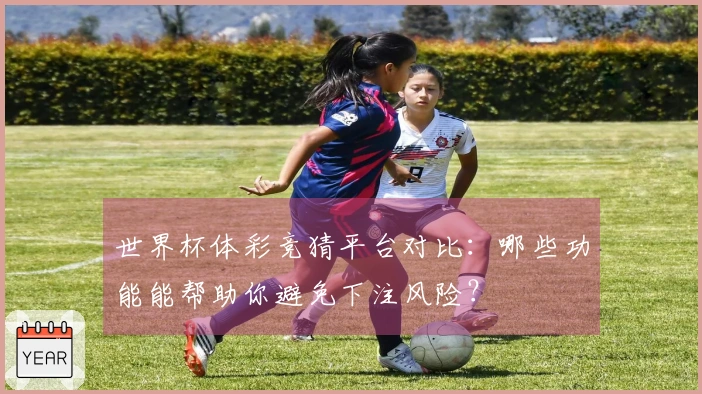 世界杯体彩竞猜平台对比：哪些功能能帮助你避免下注风险？