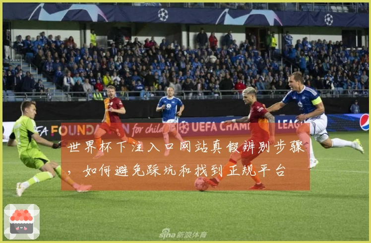 世界杯下注入口网站真假辨别步骤，如何避免踩坑和找到正规平台