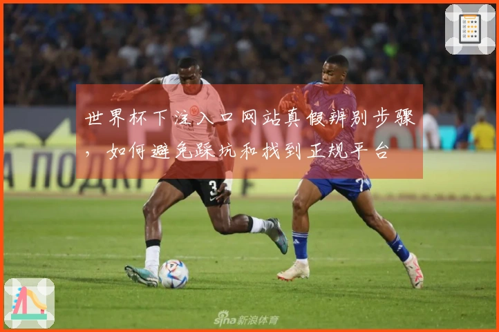 世界杯下注入口网站真假辨别步骤，如何避免踩坑和找到正规平台