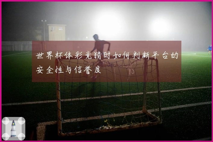 世界杯体彩竞猜时如何判断平台的安全性与信誉度