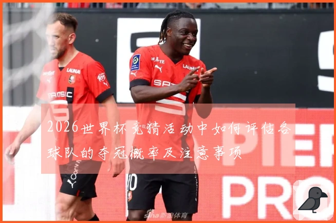 2026世界杯竞猜活动中如何评估各球队的夺冠概率及注意事项