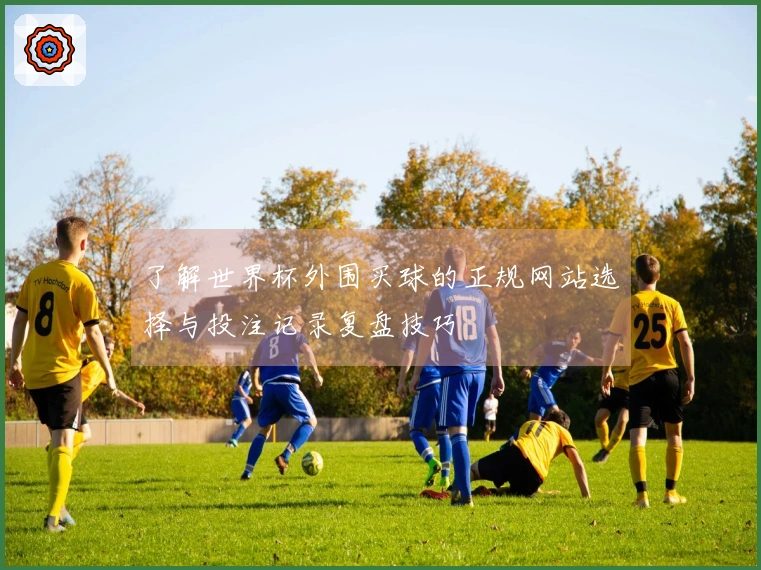 了解世界杯外围买球的正规网站选择与投注记录复盘技巧