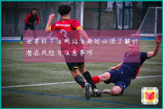 世界杯下注网站注册时必须了解的潜在风险与注意事项