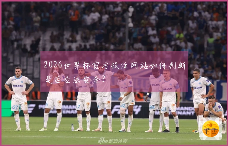 2026世界杯官方投注网站如何判断是否合法安全？