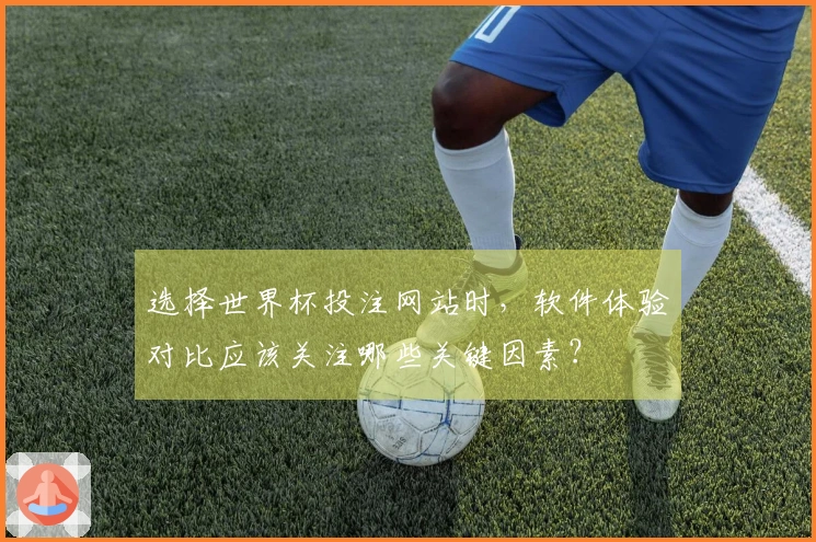 选择世界杯投注网站时，软件体验对比应该关注哪些关键因素？