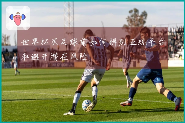世界杯买足球前如何辨别正规平台和避开潜在风险