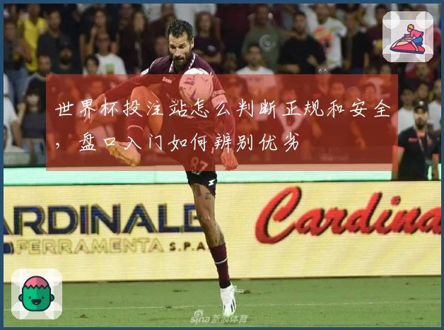 世界杯投注站怎么判断正规和安全，盘口入门如何辨别优劣
