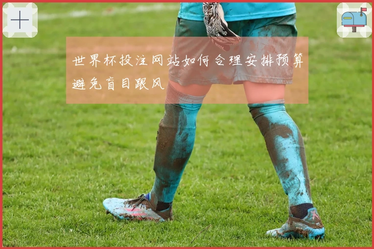 世界杯投注网站如何合理安排预算避免盲目跟风