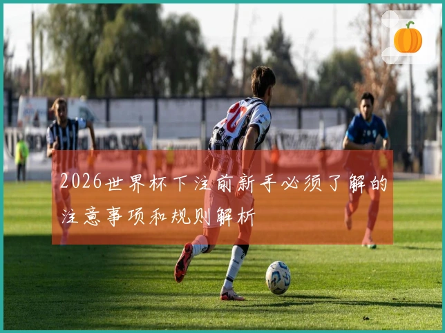 2026世界杯下注前新手必须了解的注意事项和规则解析
