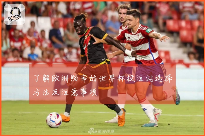 了解欧洲赔率的世界杯投注站选择方法及注意事项