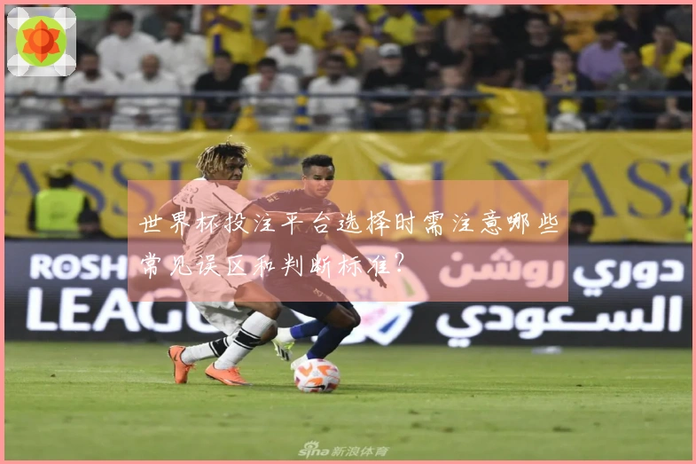 世界杯投注平台选择时需注意哪些常见误区和判断标准？