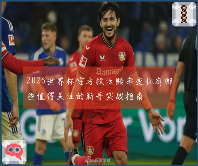 2026世界杯官方投注赔率变化有哪些值得关注的新手实战指南