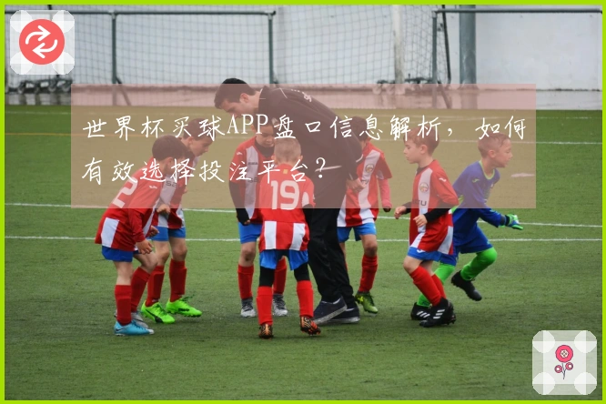 世界杯买球APP盘口信息解析，如何有效选择投注平台？